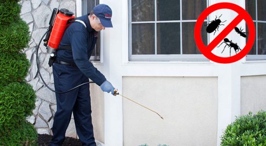 Bartın Tahtakurusu İlaçlama böcek ilaçlama ve haşere kontrolü — ilaclama-tr.com